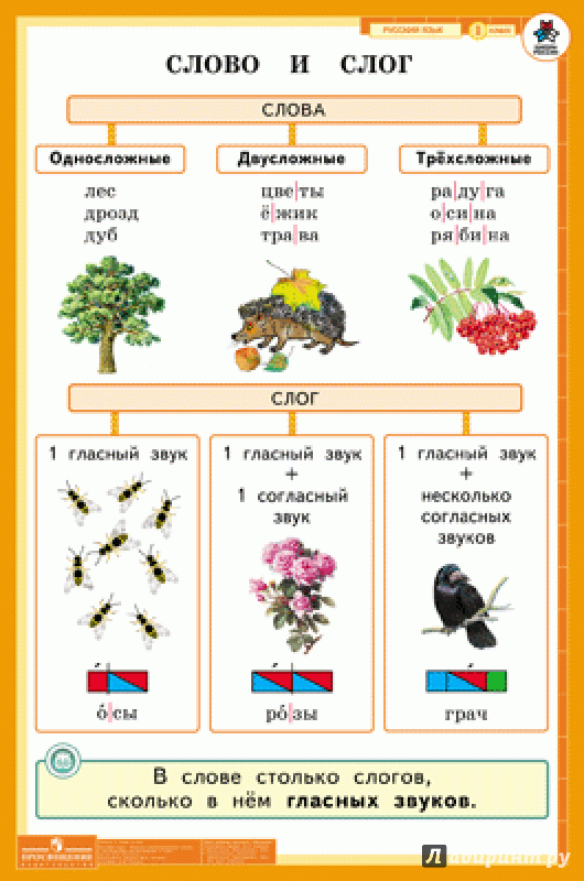 1 класс презентация слово и слог